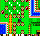 Bomberman Max: Red Challenger